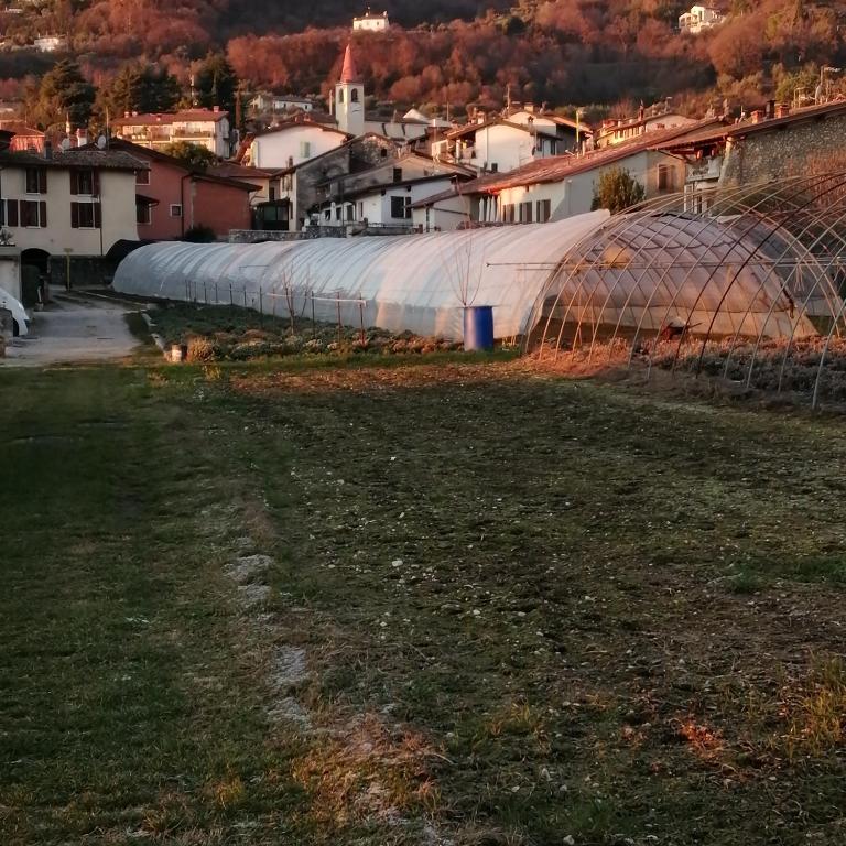 Vonkajšia záhrada v ubytovaní AGRITURISMO CORTE FONTANA APP. BARBARA