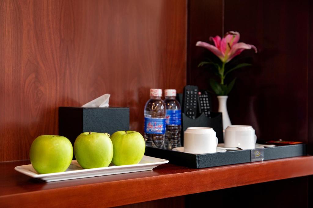 Dora Cruise by HAG - 7