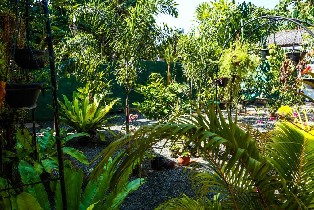 Zahrada ubytování Ruwan Jungle Homestay