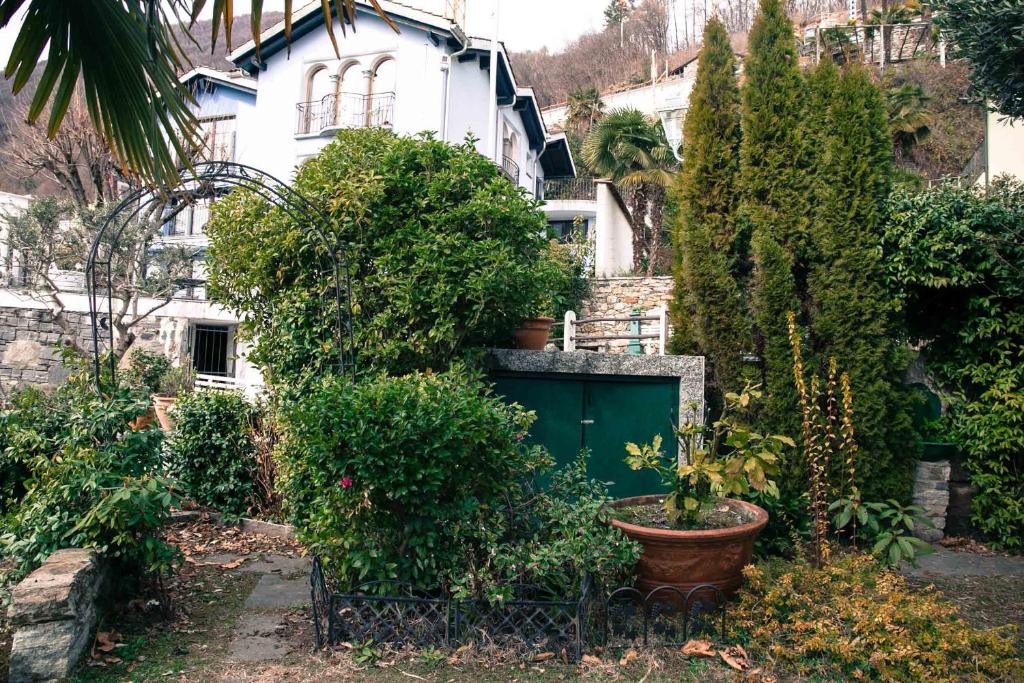 Zahrada ubytování Casa Alma Grotto