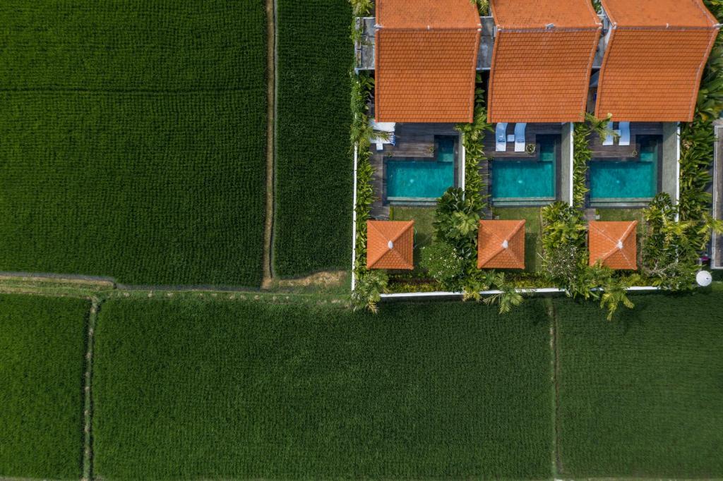 Bazén v ubytování Sawah Villas nebo v jeho okolí