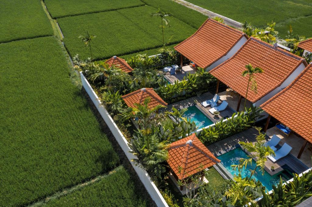 Bazén v ubytování Sawah Villas nebo v jeho okolí
