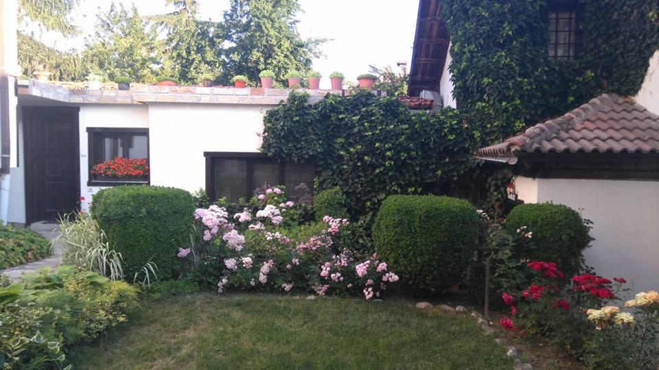 Zahrada ubytování Matsureva House - Pri Ivan