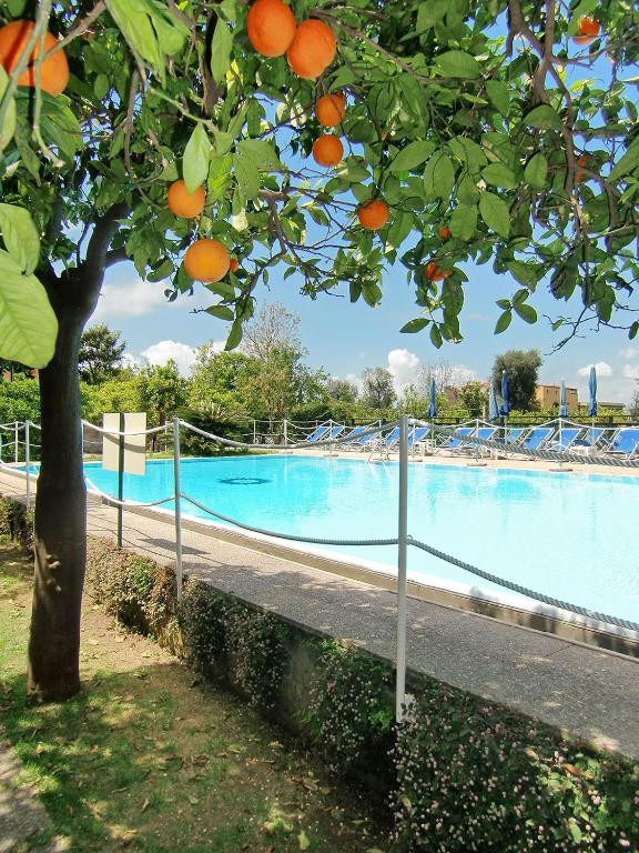 Bazén v ubytování Hotel Girasole nebo v jeho okolí