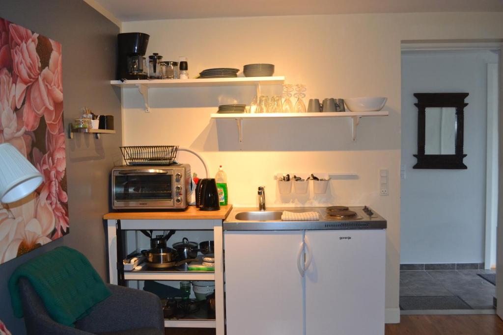 Kuchyň nebo kuchyňský kout v ubytování AD Apartment