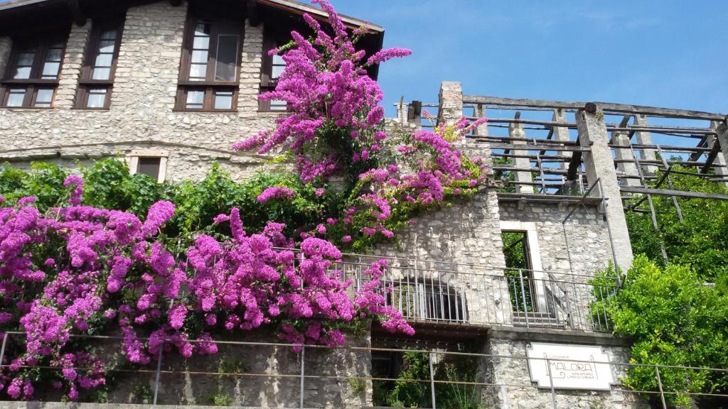 Zahrada ubytování Hotel Garnì Bartabel