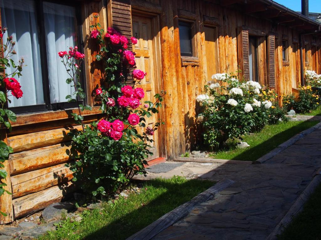 Ein Garten an der Unterkunft Hotel Último Paraíso
