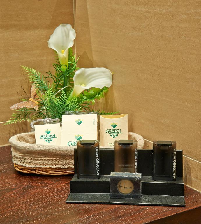 Hotel Grèvol Spa - Suite Junior Con Acceso Al Spa