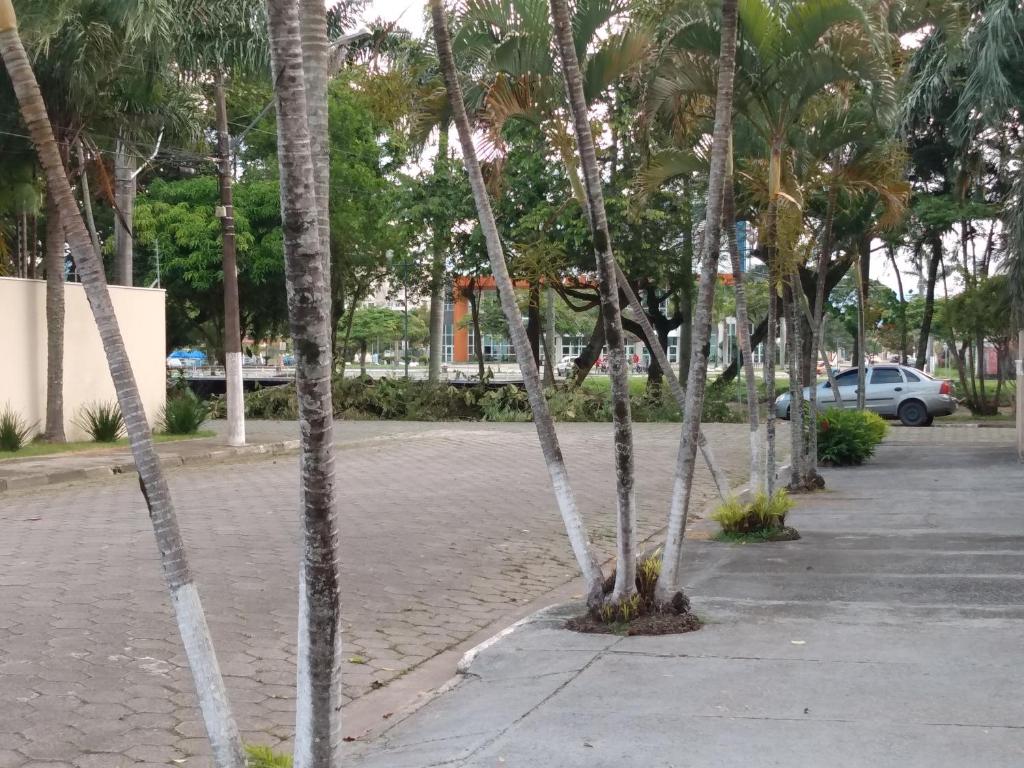  Hospedagem Primavera