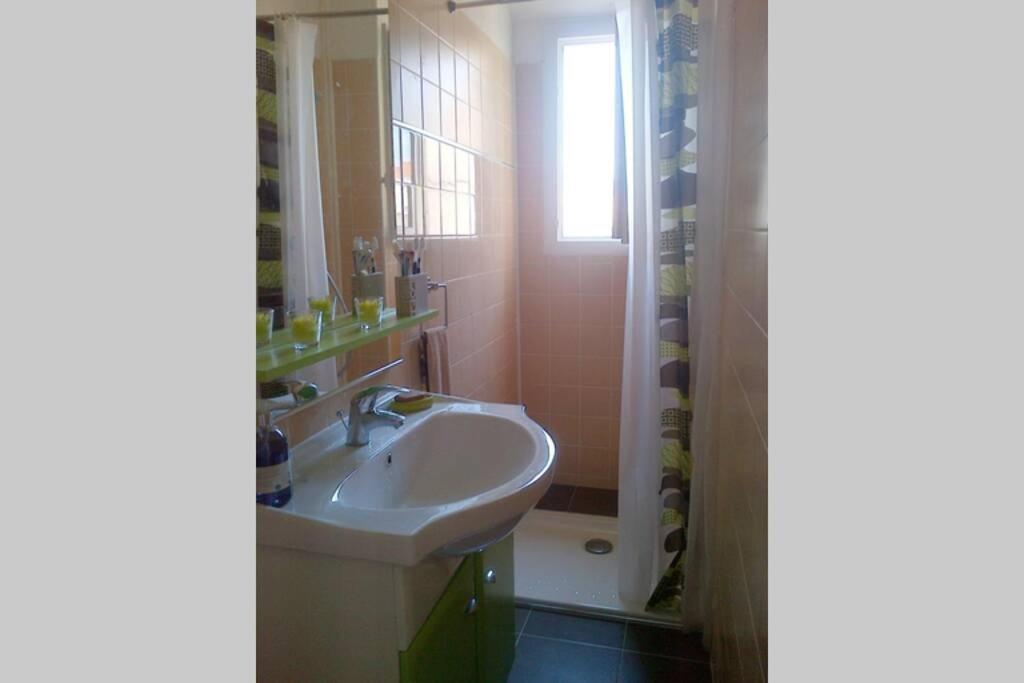 une salle de bain avec un lavabo et une douche dans l'établissement CANNES, à Cannes
