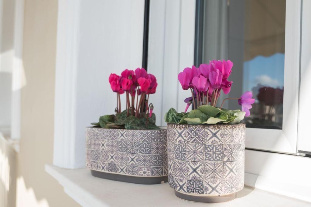 Athens Terrace 360° - 18