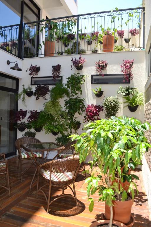  Hotel Casa Alfredo