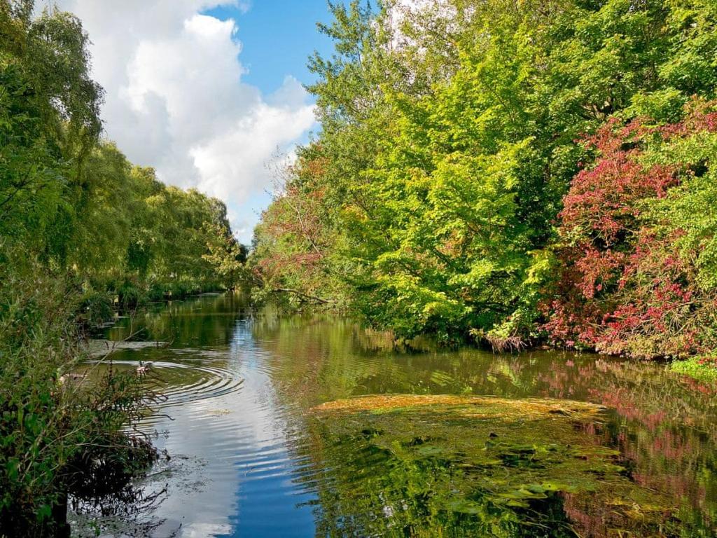 Natural landscape near the vacation home 