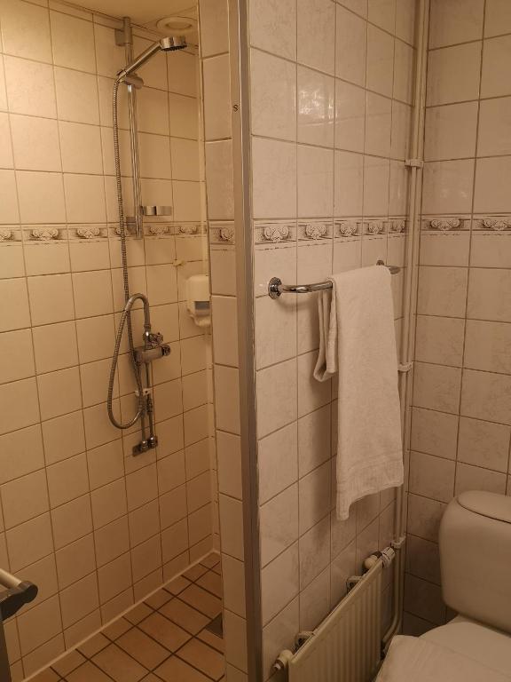 Koupelna v ubytování Hotell Åsen