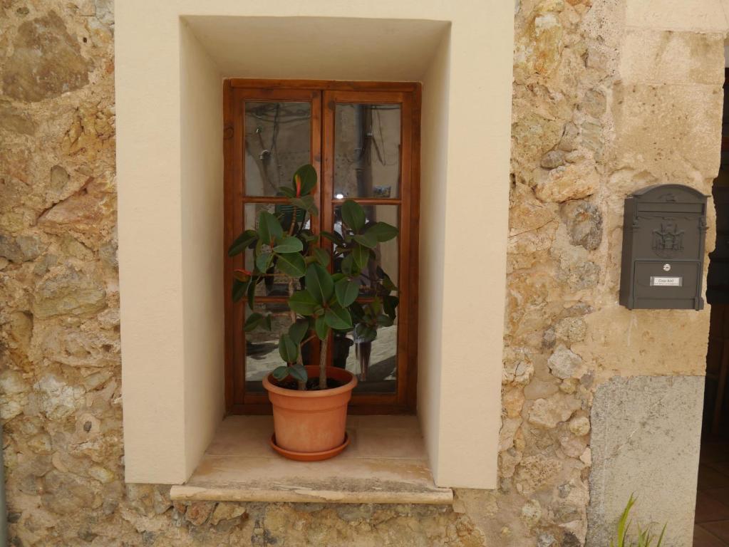 une plante dans une fenêtre dans un mur de pierre dans l'établissement Casa Vell de Valldemossa, à Valldemossa