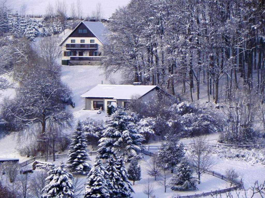 dom pokryty śniegiem przed drzewami w obiekcie Ferienbungalow Nähe Willingen-Winterberg w mieście Medebach