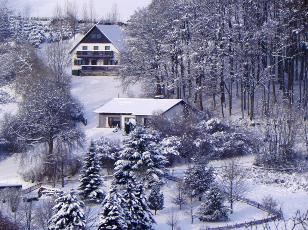 a house covered in snow in front of trees at Ferienbungalow Nähe Willingen-Winterberg in Medebach