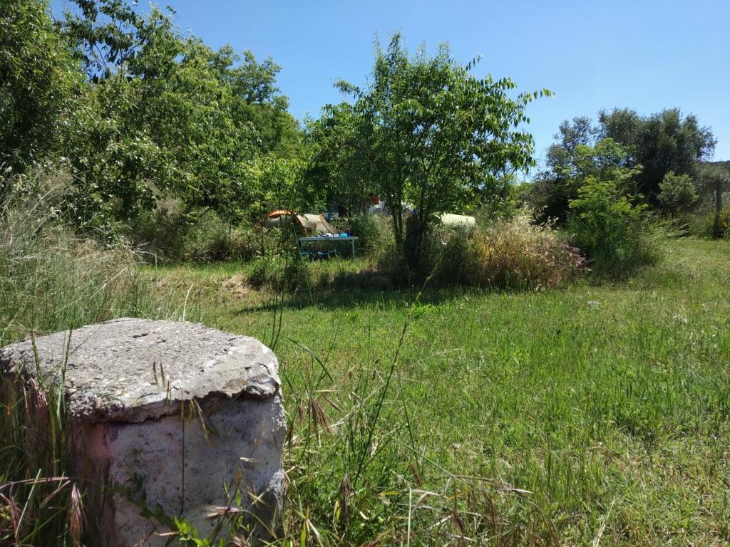 Příroda nedaleko kempu