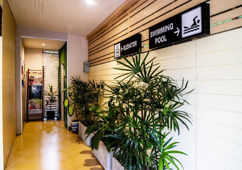 A plant-lined hallway provides directions to the elevator and swimming pool.