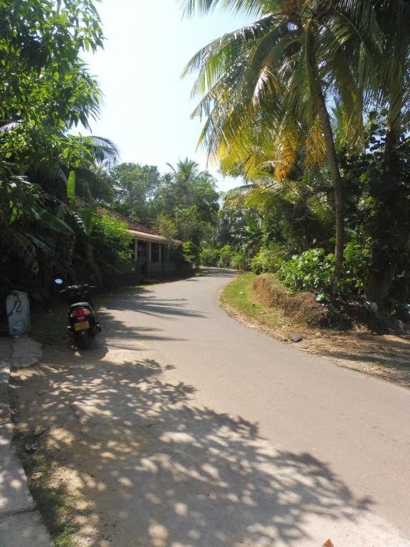 Okolí bed and breakfast
