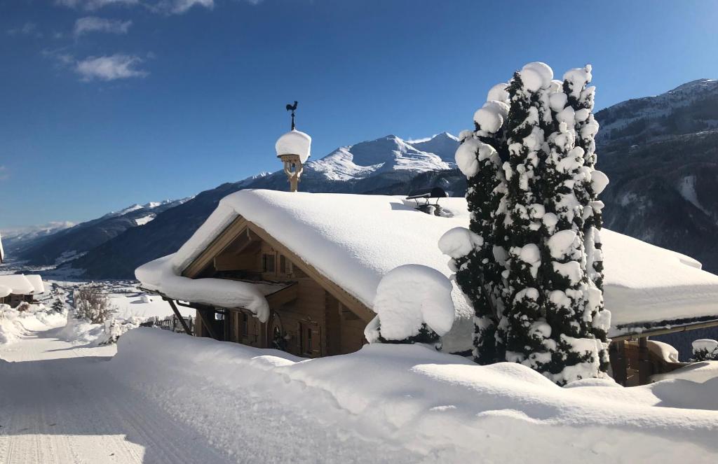 dom pokryty śniegiem z pokrytym śniegiem drzewem w obiekcie Chalet Sonnberg w mieście Bramberg am Wildkogel