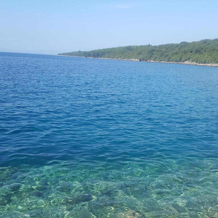 Apartments Skandi1 - 19