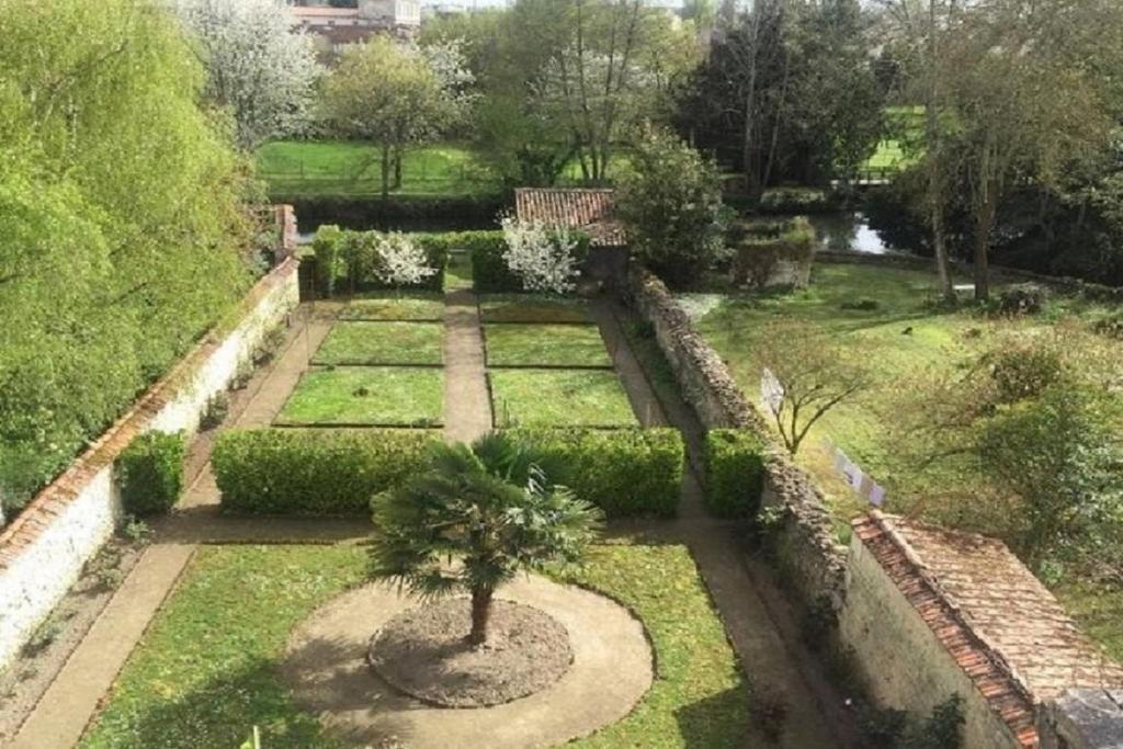 - une vue aérienne sur un jardin avec un palmier dans l'établissement Les Jardins De La Seugne, à Jonzac