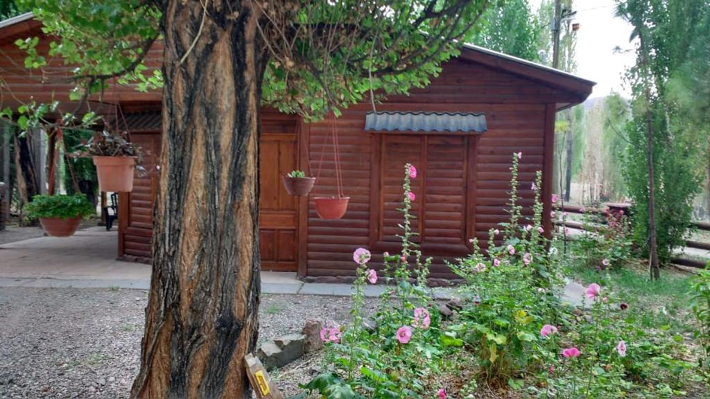 un pequeño cobertizo de madera con flores delante en Cabañas Tierra Huarpe en Uspallata