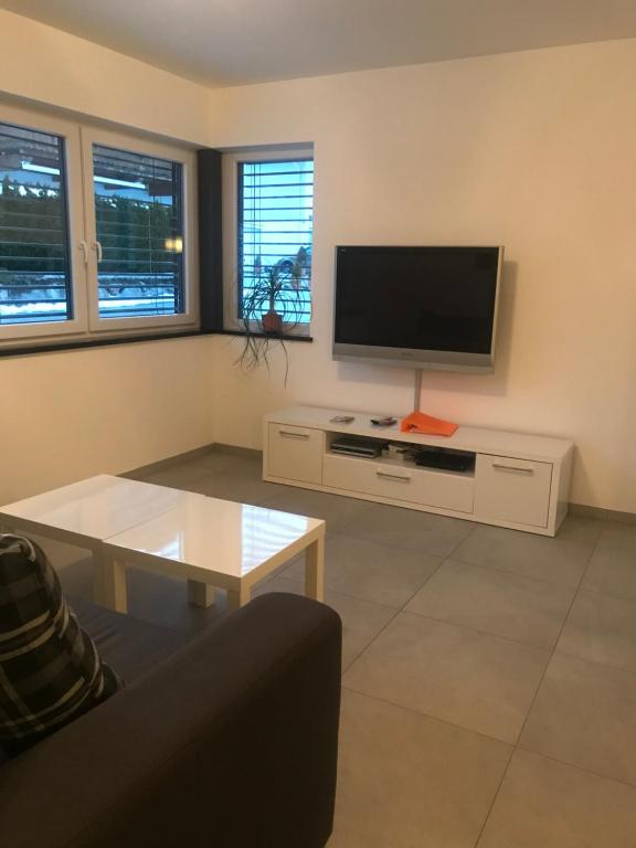 uma sala de estar com uma televisão de ecrã plano em WS-Appartement em Kitzbühel