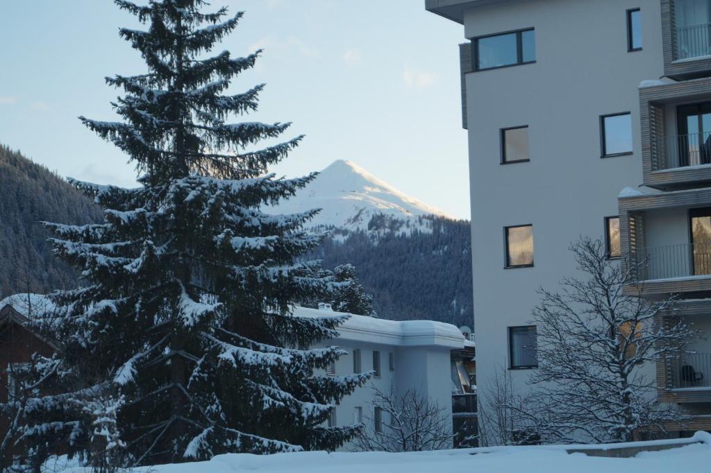 un albero di Natale coperto di neve di fronte a un edificio di Ferienapartment Davos a Davos