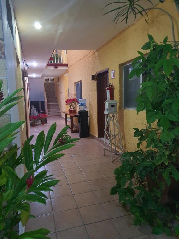 Fotografie z fotogalerie ubytování Hotel posada MARCAS v destinaci Cancún