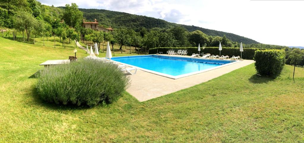 a swimming pool in the middle of a grass field at Agriturismo Ombianco in Seggiano