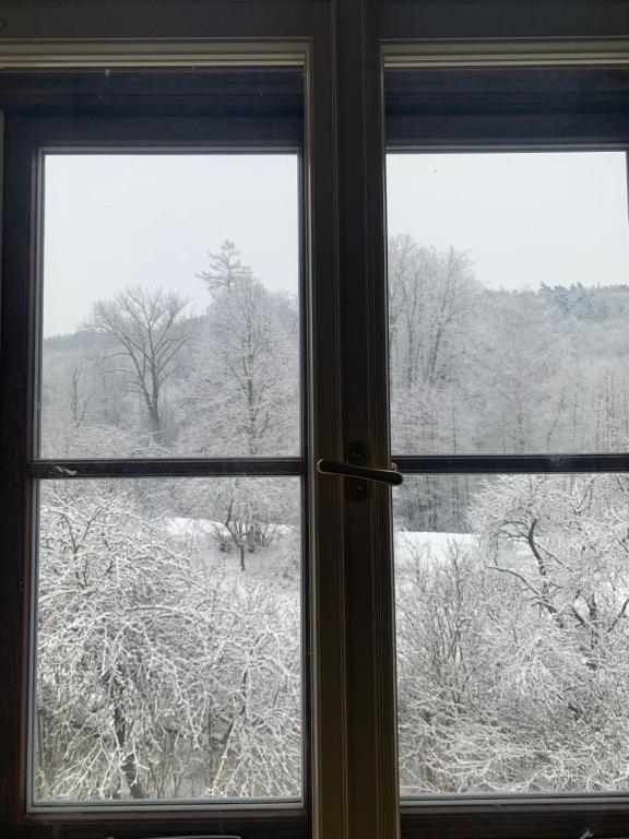 Obiekt Zámek Ruda nad Moravou zimą