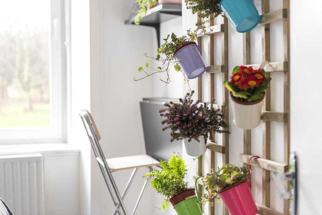 Stylish & Tidy 1st floor Apartment