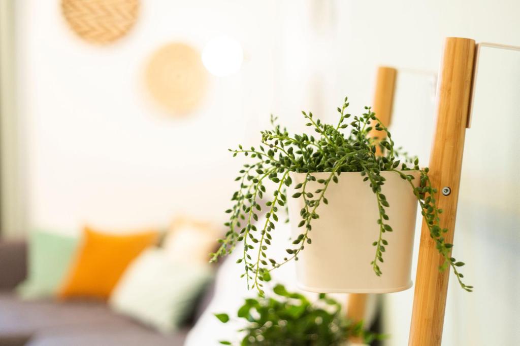 Fotografie z fotogalerie ubytování Green & cozy apartment - 15 min to city center ve Vídni