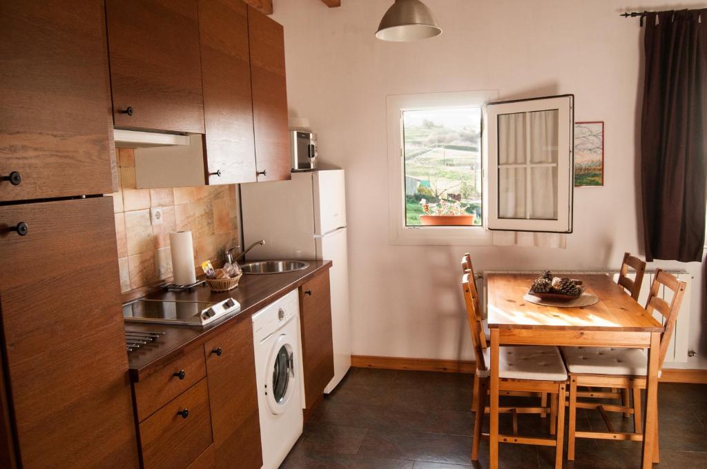 Kuchyň nebo kuchyňský kout v ubytování Apartamentos Corona