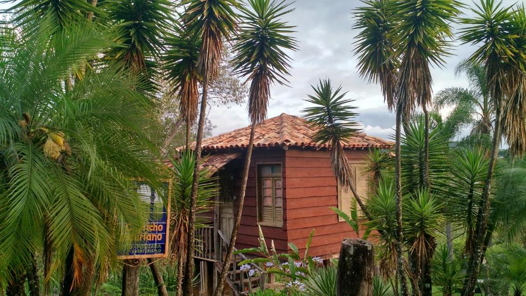 a small house in the middle of palm trees at Capricho Asturiano in Santo Antônio do Leite