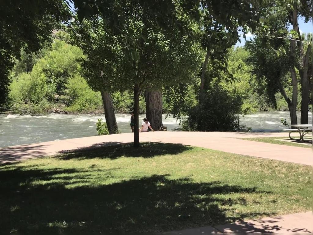 a tree in a park next to a river at Kern Riverview Inn in Kernville