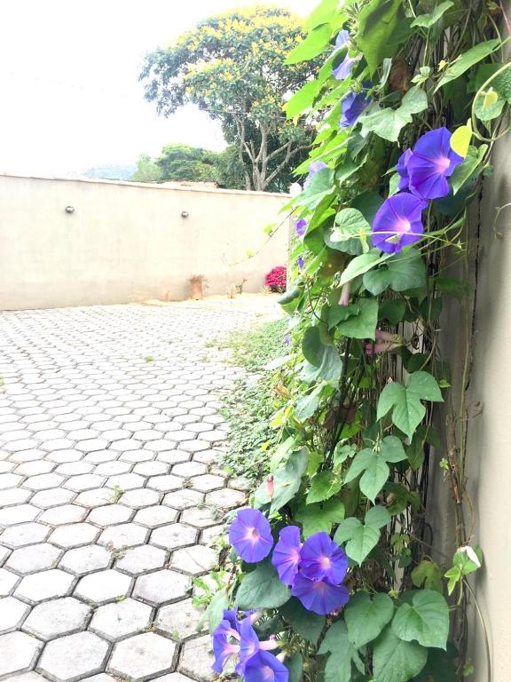  Pousada Vovô Juca Tiradentes