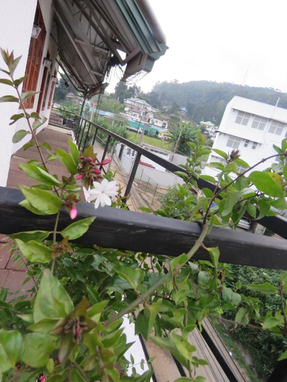 Fotografie z fotogalerie ubytování DREAM Hill HOMESTAY NUWARA ELIYA v destinaci Nuwara Eliya