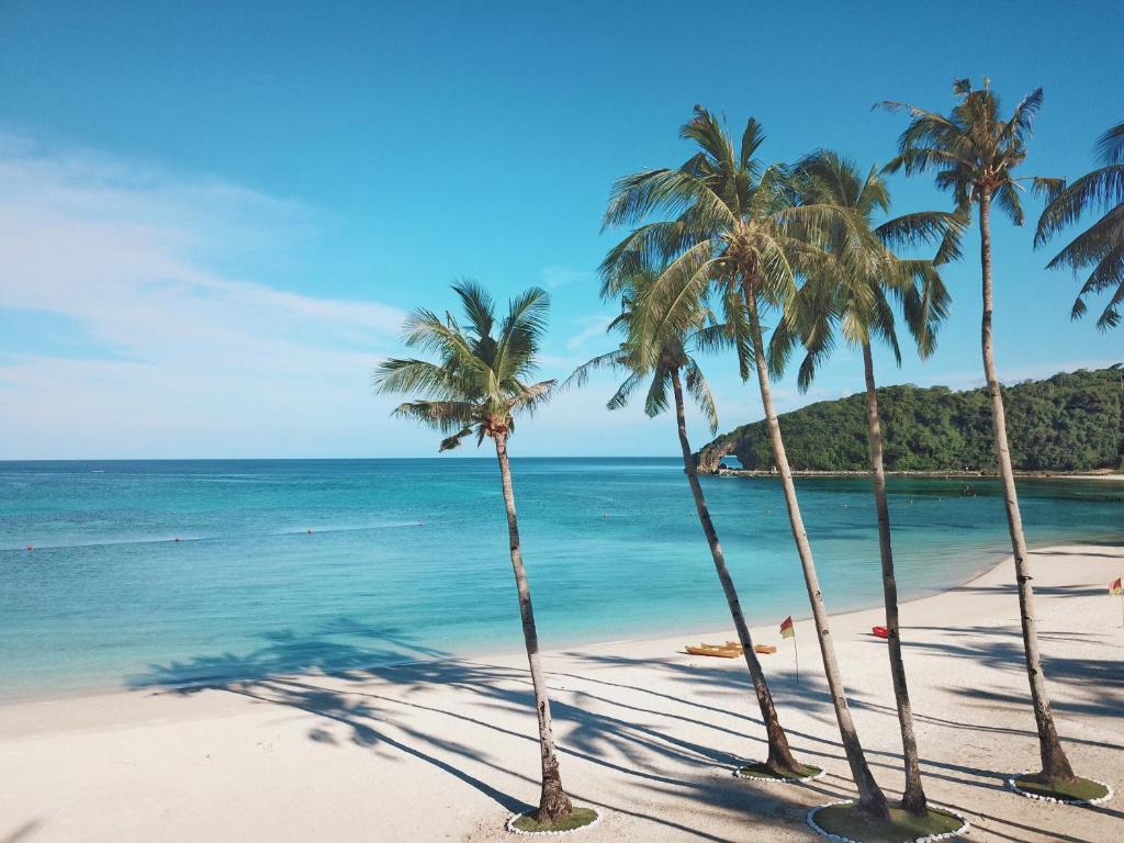 eine Gruppe von Palmen am Strand mit dem Meer in der Unterkunft Savoy Hotel Boracay Newcoast in Boracay