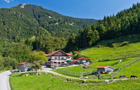 een huis in het midden van een groene heuvel met een weg bij Duftbräu in Samerberg