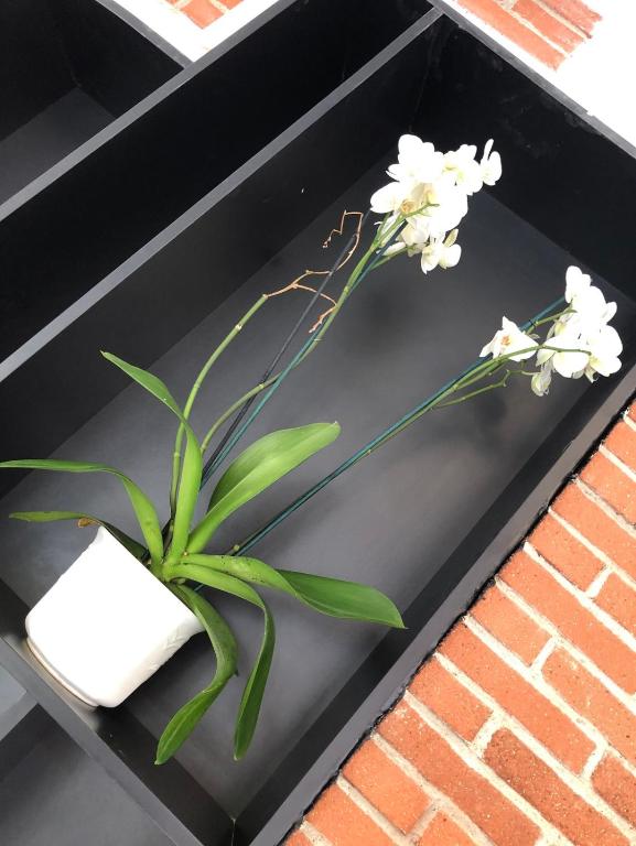 Hotel Victor Hugo - Resim 17