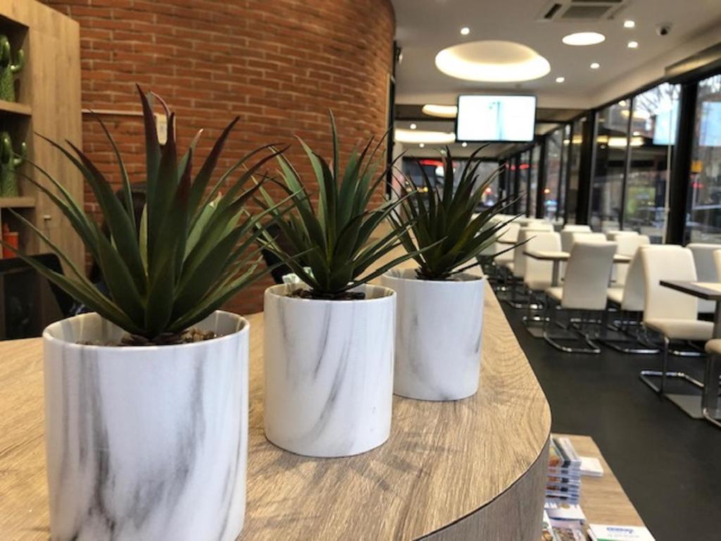 three white vases with plants in them on a table at Hotel Victor Hugo in Toulouse