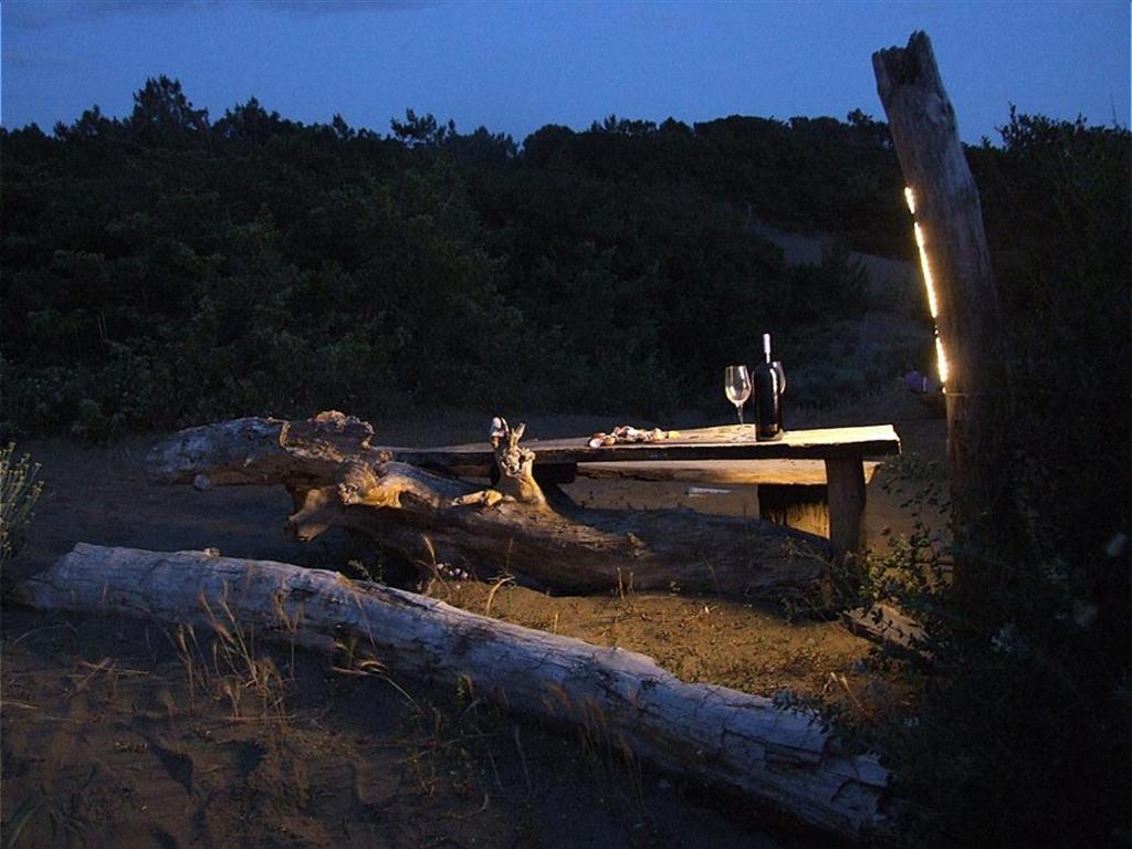 a picnic table on the beach with a fallen tree at Villa La Quercia-Dalia in Sassetta