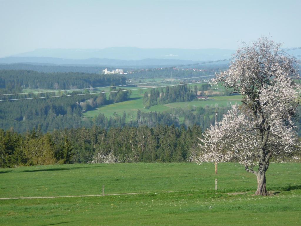 Příroda nedaleko hotelu