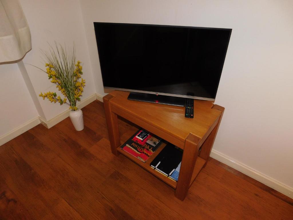 TV a/nebo společenská místnost v ubytování Apartman Ana