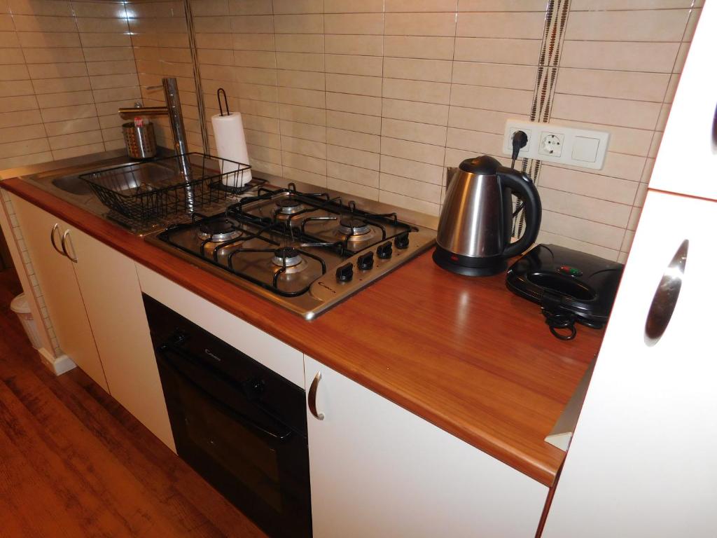 Kuchyň nebo kuchyňský kout v ubytování Apartman Ana