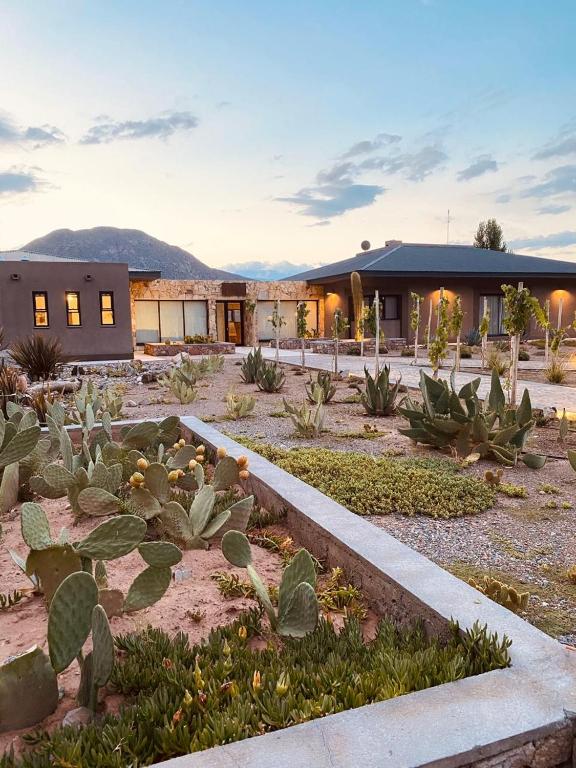a garden in front of a building with cactus at Chañarmuyo Casa de Huéspedes in Chañarmuyo