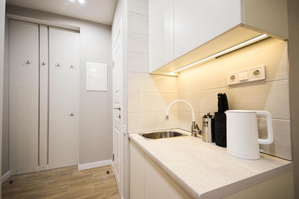 Kuchyň nebo kuchyňský kout v ubytování Kyiv Center Smart Apartments